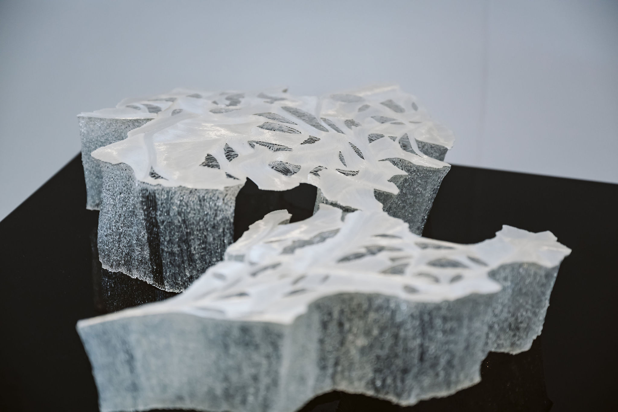 MELANIE OLMSTEAD  PHOTOGRAPHE